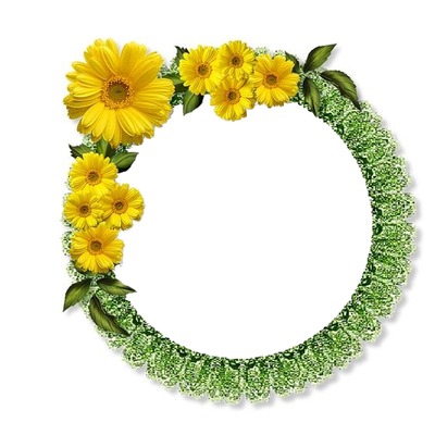 circulo verde y flores amarillas. Photo frame effect