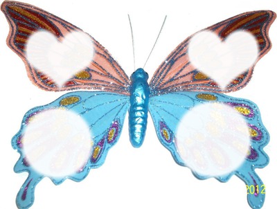 mariposas Montaje fotografico