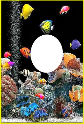 FISH AQUIRIUM Photomontage