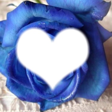 rose bleu Φωτομοντάζ