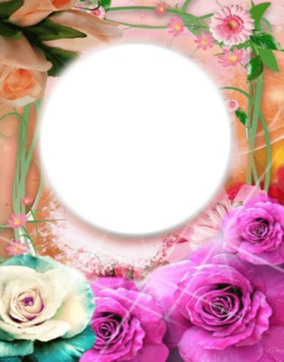 Cadre avec des roses Photo frame effect
