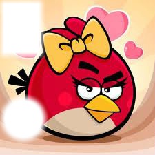 angry birds Montage photo