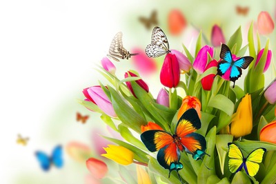 Mariposas y flores Montaje fotografico