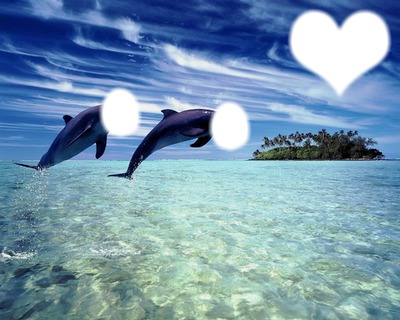 les dauphin au paradi フォトモンタージュ