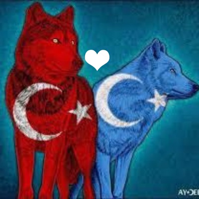 Doğu Türkistan & Türkiye Fotomontage