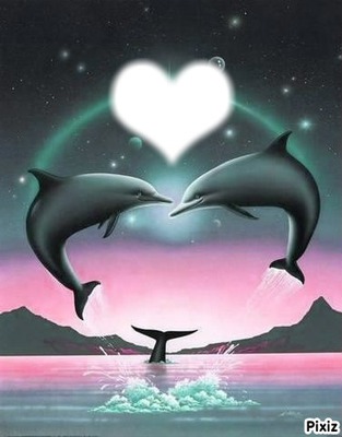 Les dauphin de l'amour ! Fotomontagem