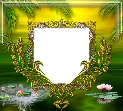 Cadre doré - lotus - palmier Fotomontáž