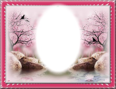 cadre nature Photo frame effect