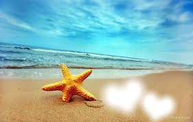 deniz yıldızı Fotomontage