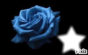 Rosa Azul Fotomontáž