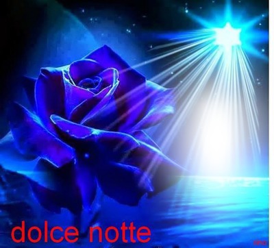 Anniv (rose bleu) Fotomontage