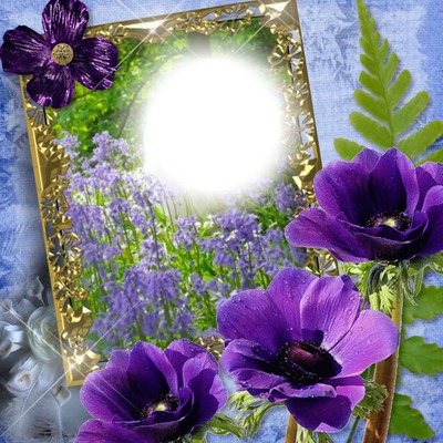 Cadre florale Fotomontasje