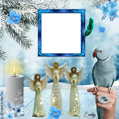 hark the angels sing Photo frame effect