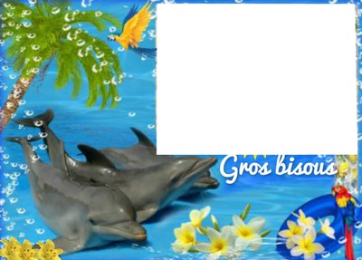 Dauphins gros bisous Fotomontage