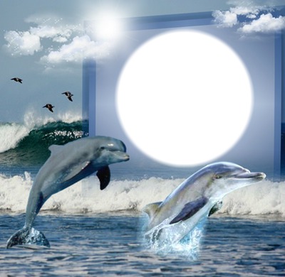 dauphins Fotomontaggio