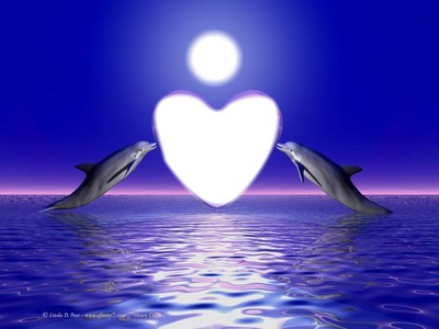 dauphin coeur lune Photomontage