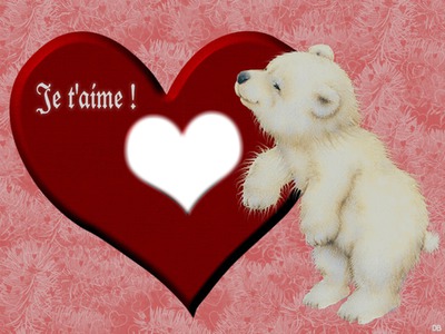 Photo Montage Ours D Amour Pixiz