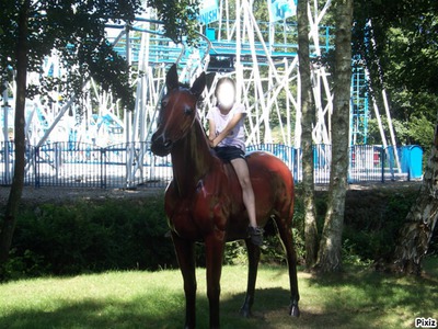 à cheval Valokuvamontaasi
