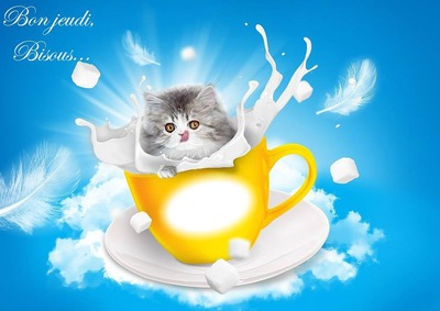 chat Photomontage