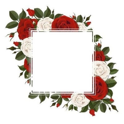 marco sobre rosas rojas y blancas. Fotomontáž