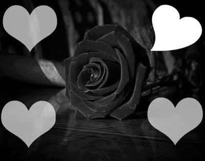 noir rose Photomontage