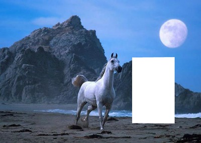 cheval vlanc Fotomontaggio