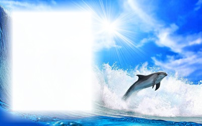 Delfin Fotomontage