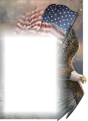 Eagle Flag Photo frame effect