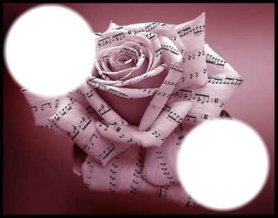rose musicale Fotomontage