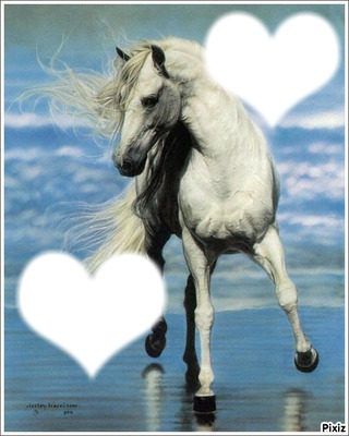 cheval a la mer Photomontage