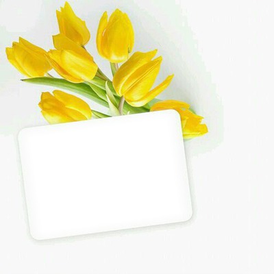 cvijeće Fotomontage