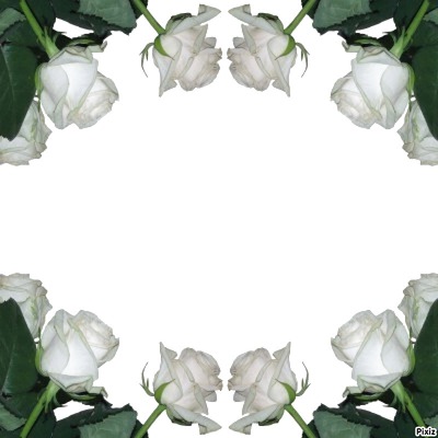 Paul White Roses Fotomontažas