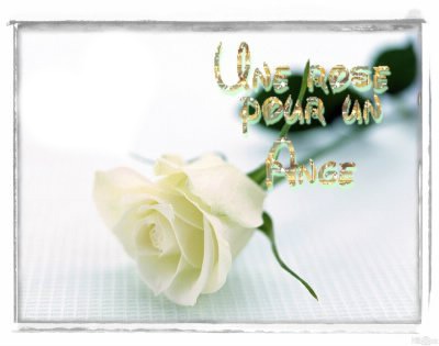 une rose pour un ange フォトモンタージュ