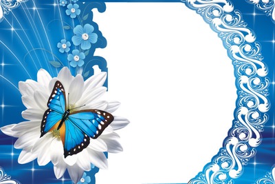 borboleta azul Fotomontažas
