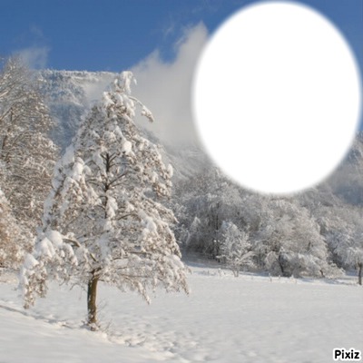 arbre neige フォトモンタージュ