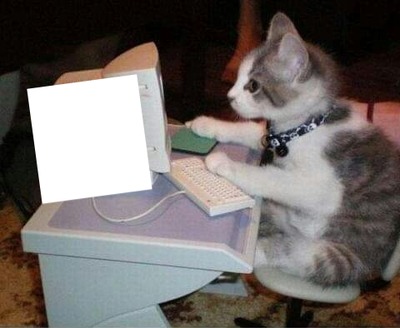 gato computador Montaje fotografico