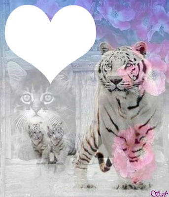 tigre et dauphin Fotomontage