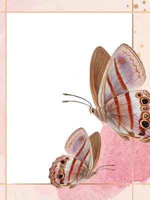 marco rosado y mariposas. Fotomontáž