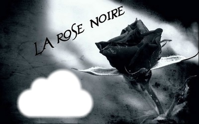 rose noir フォトモンタージュ