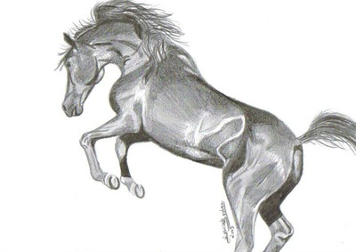 le cheval fougeu Valokuvamontaasi