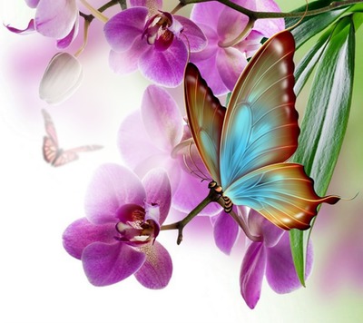 Butterfly Photomontage