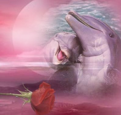 dauphins Photomontage