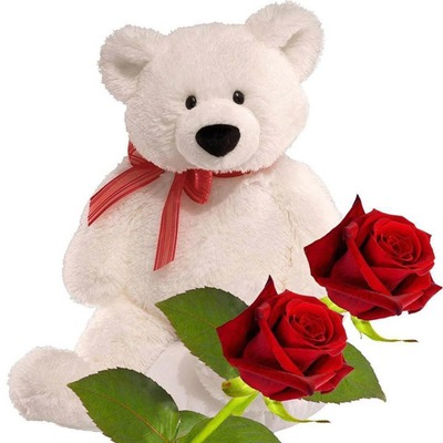 ours peluche blanc avec 2 roses 2 photos Φωτομοντάζ