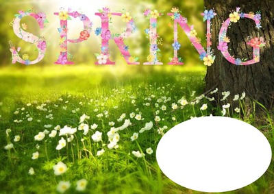 spring time Fotomontage