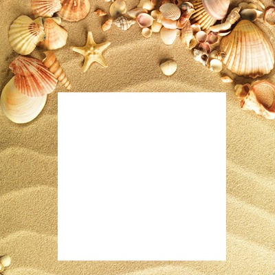 1-sea shells-hdh Fotomontasje