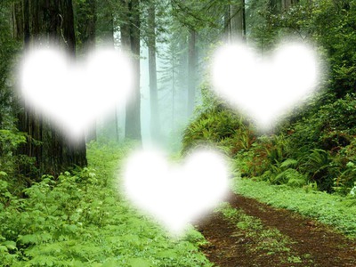 3 coeurs en forêt Fotomontagem