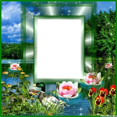 Water Flower Dug Photo frame effect