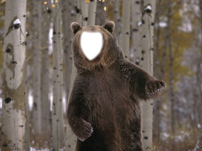 oso en sordo gordo Fotomontāža