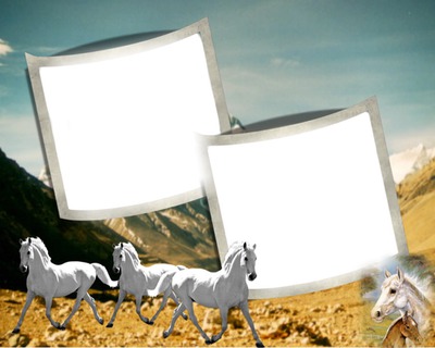 konie Photo frame effect