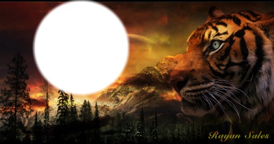 tigris Photo frame effect
